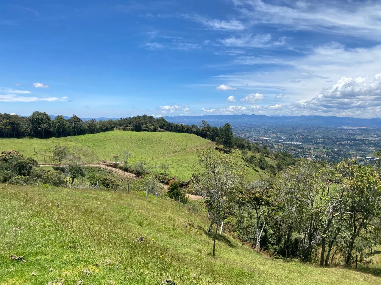 Áreas abiertas y horizonte