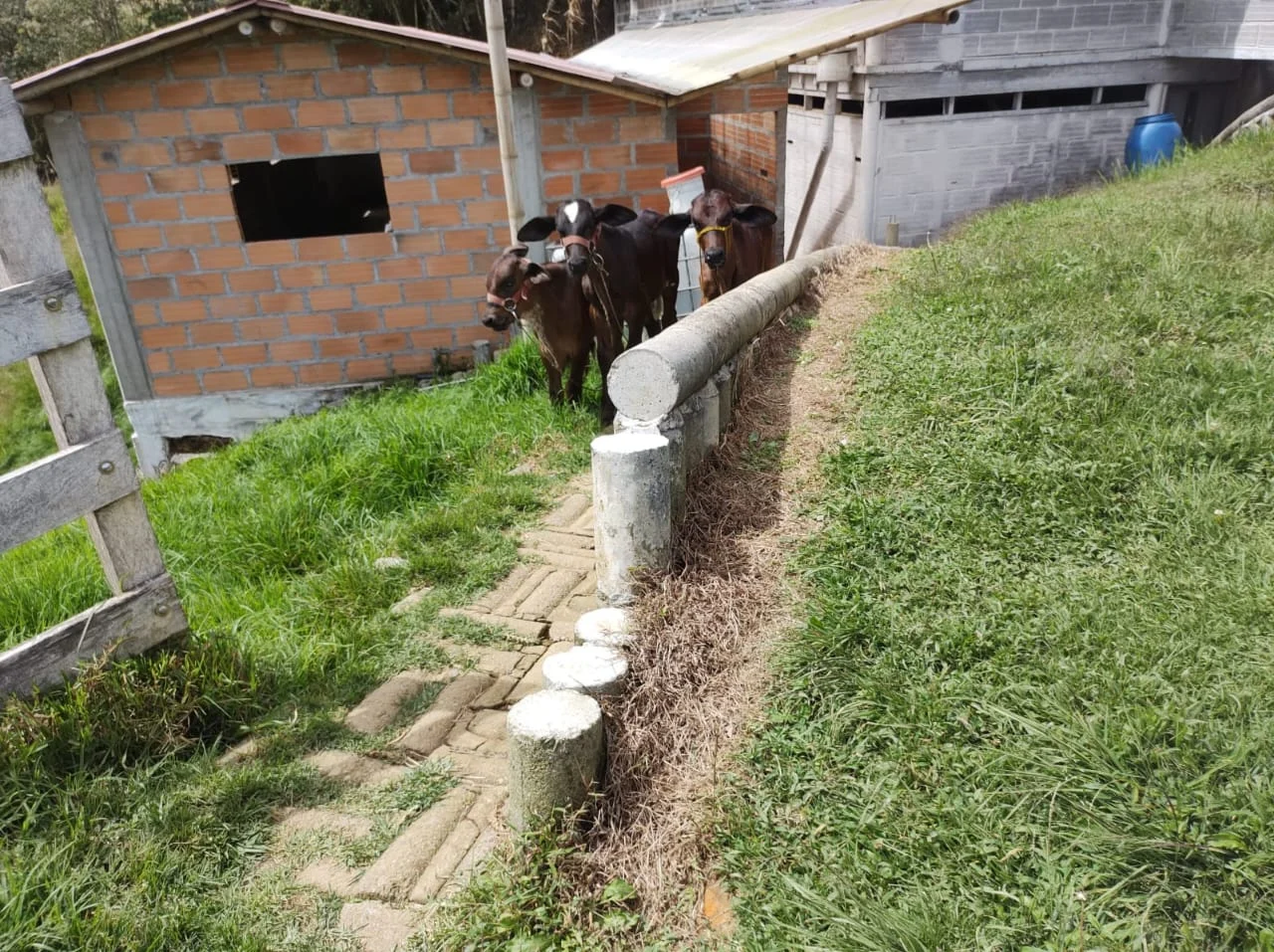 Detalle de las construcciones